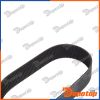 Ceinture rack de direction 310х22х2.2х5°, 155 dents pour MERCEDES | 7806040673, 4474602000